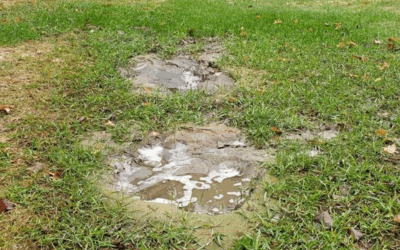 Signs of a Failing Septic System